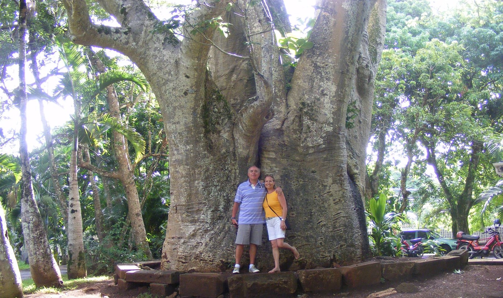 sotto un baubab