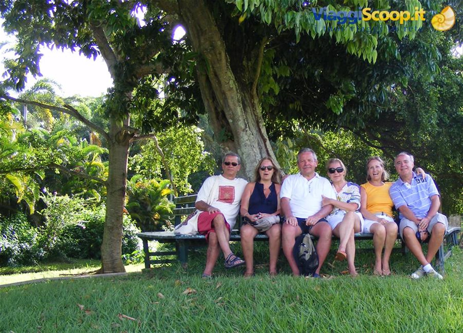insieme a pamplemousses
