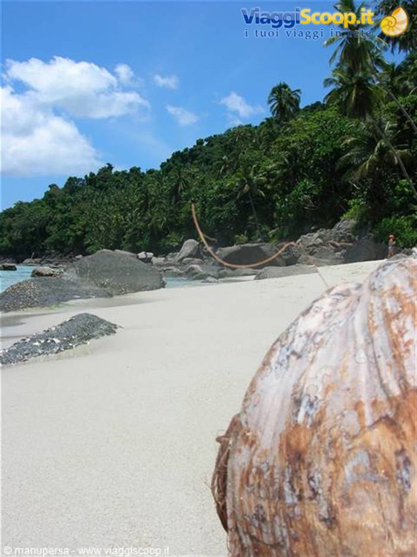 COCCO MALESIANO