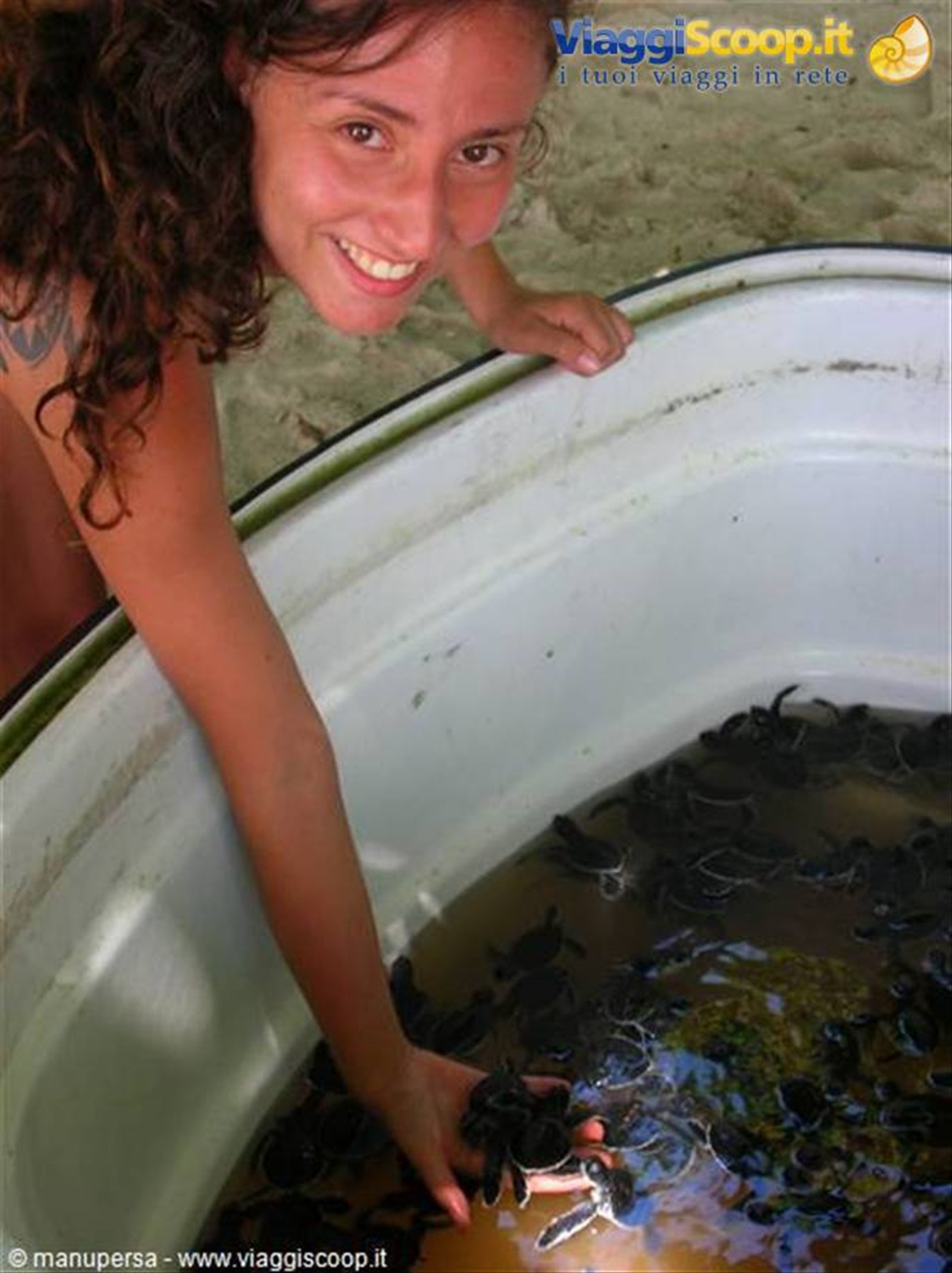 TARTARUGHE MARINE PROTETTE