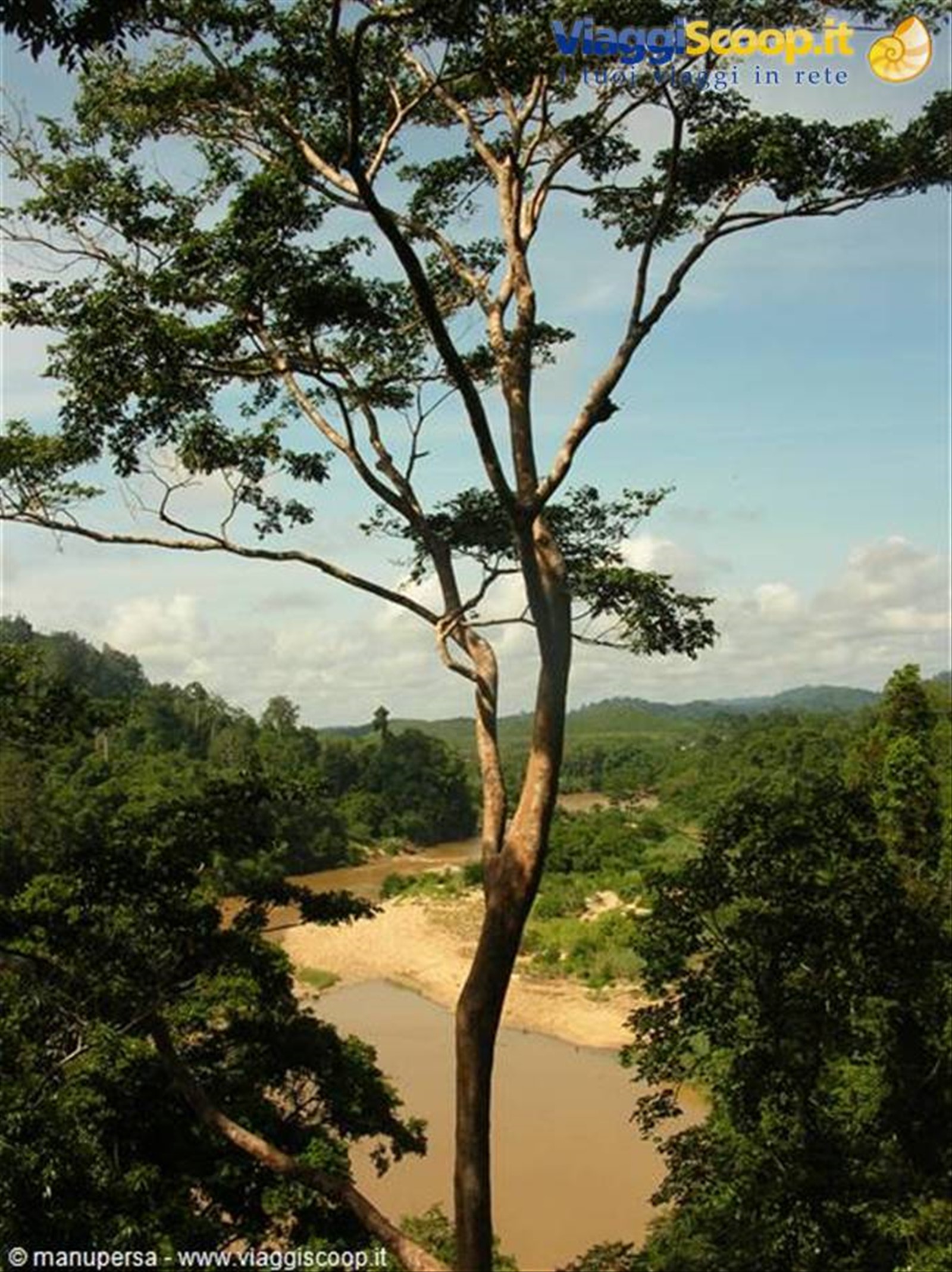IL CUORE SELVAGGIO DEL TAMAN NEGARA