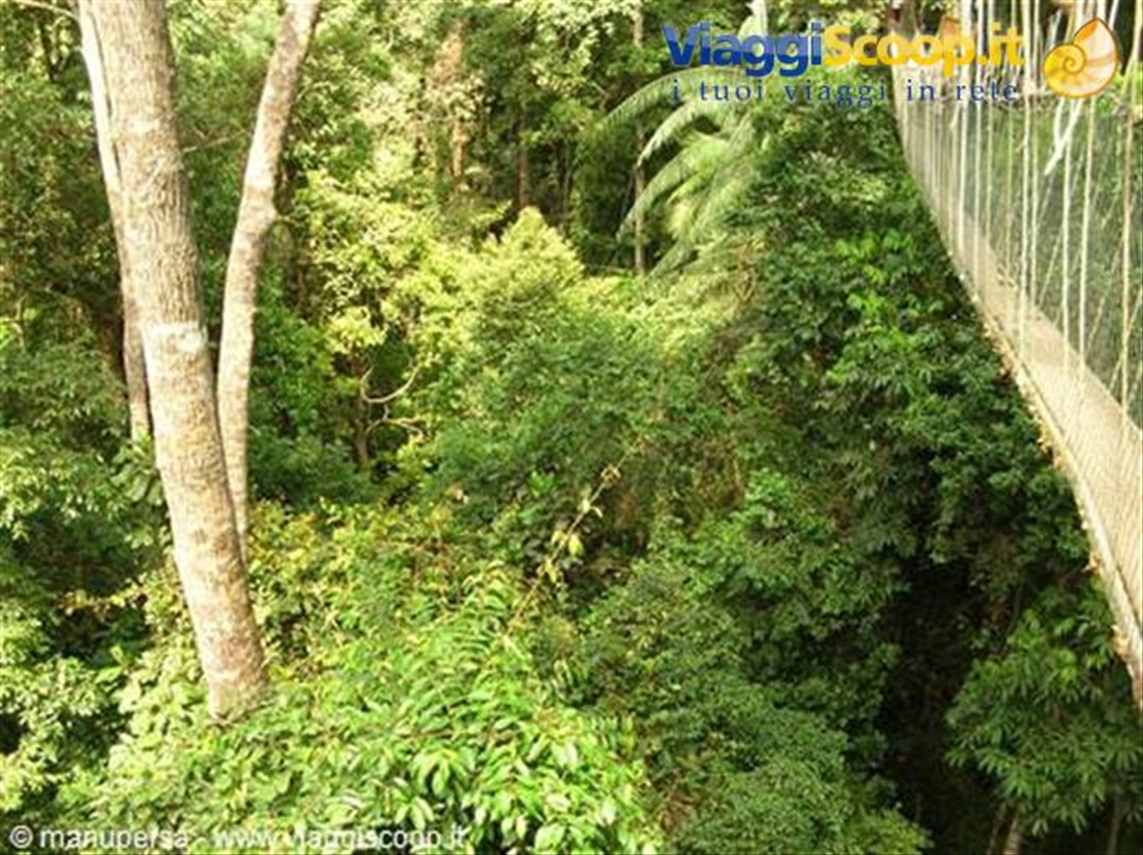 I PONTI PIU' LUNGHI DEL MONDO NEL TAMAN NEGARA
