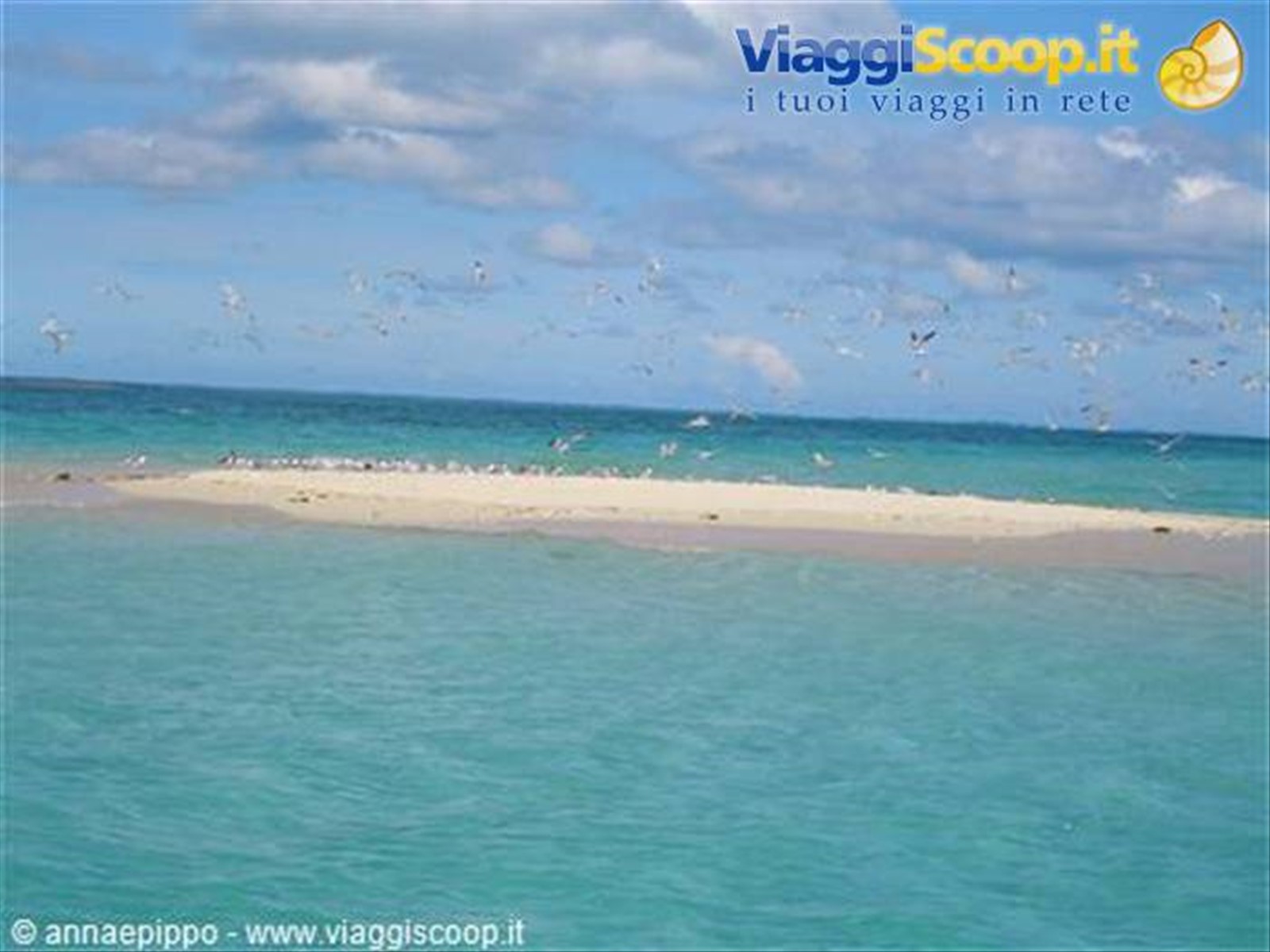 Kwale con bassa marea