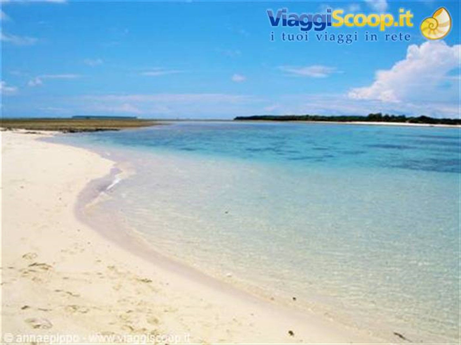 Kwale Island
