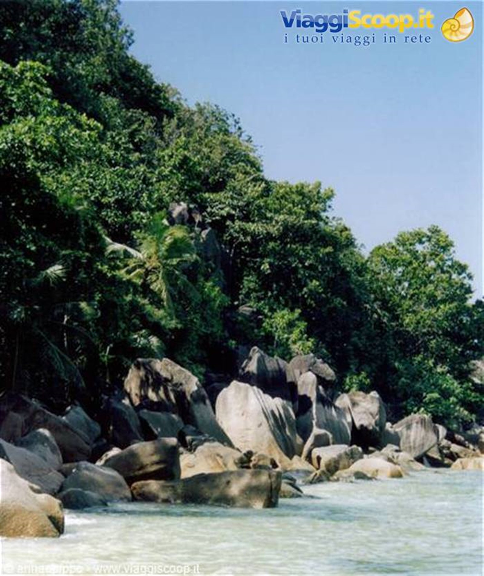 SASSI