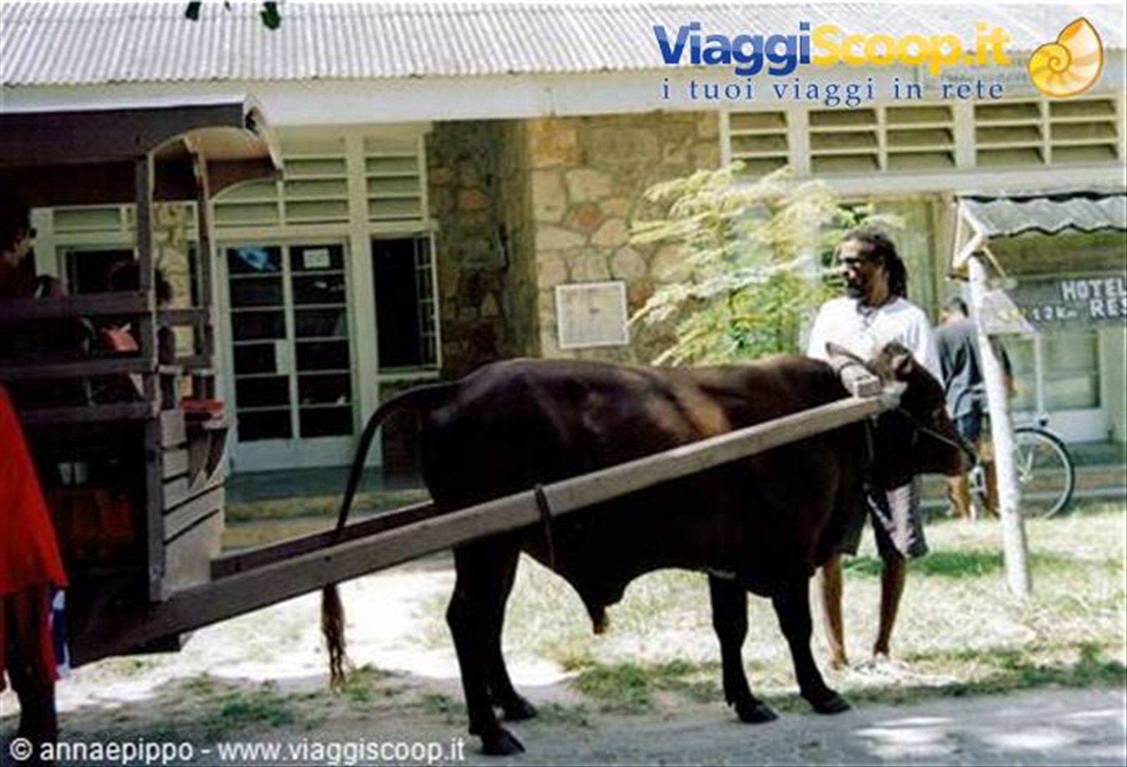 LA DIGUE IL CLASSICO MEZZO: CARRO TRAINATO DAI BUOI