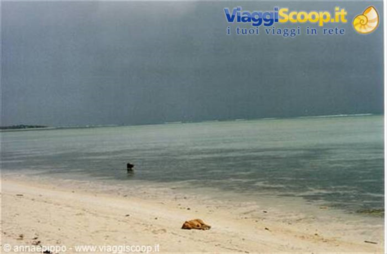 SPIAGGIA DESERTA
