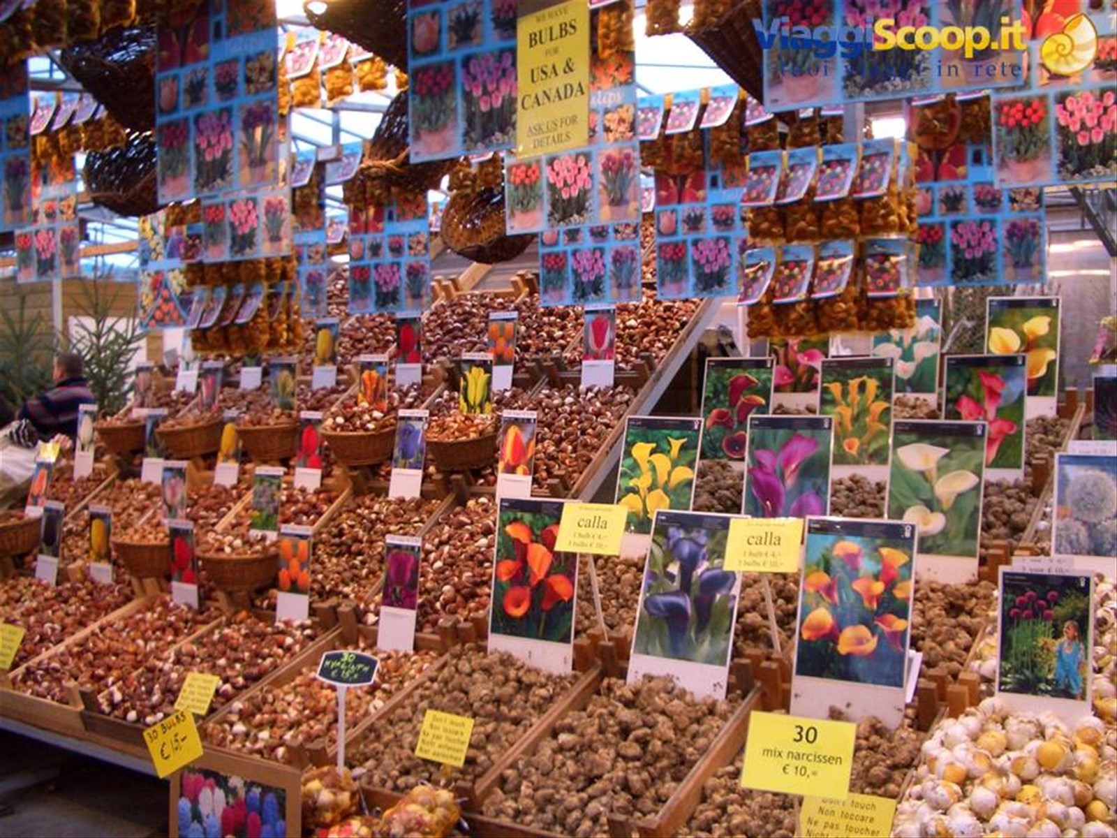 Mercato dei fiori