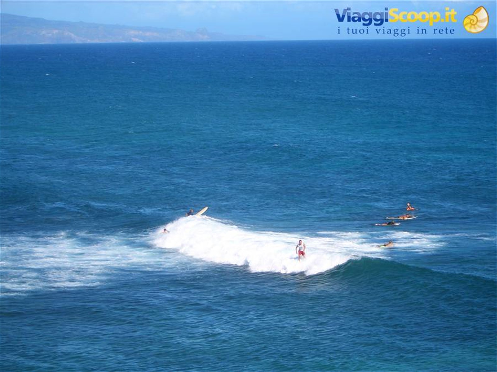 HO'OKIPA BEACH -MAUI