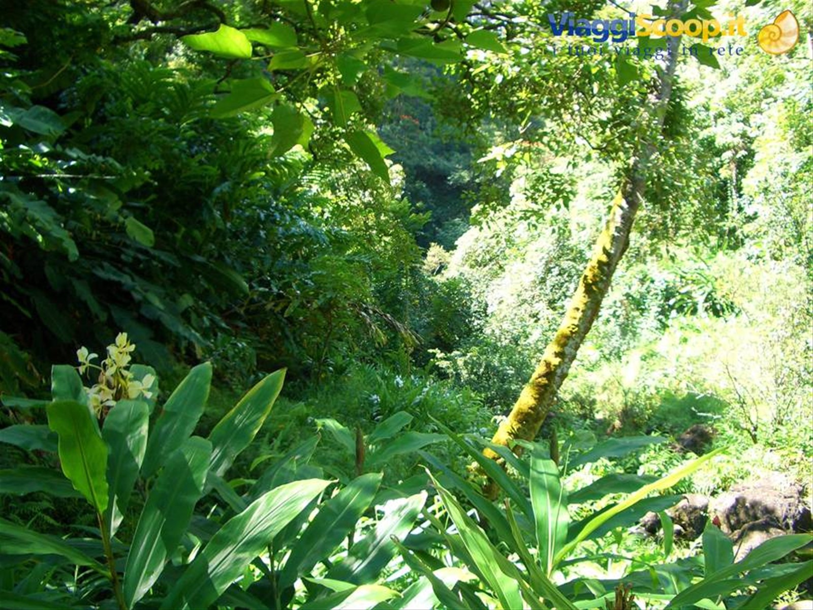 HANA ROAD