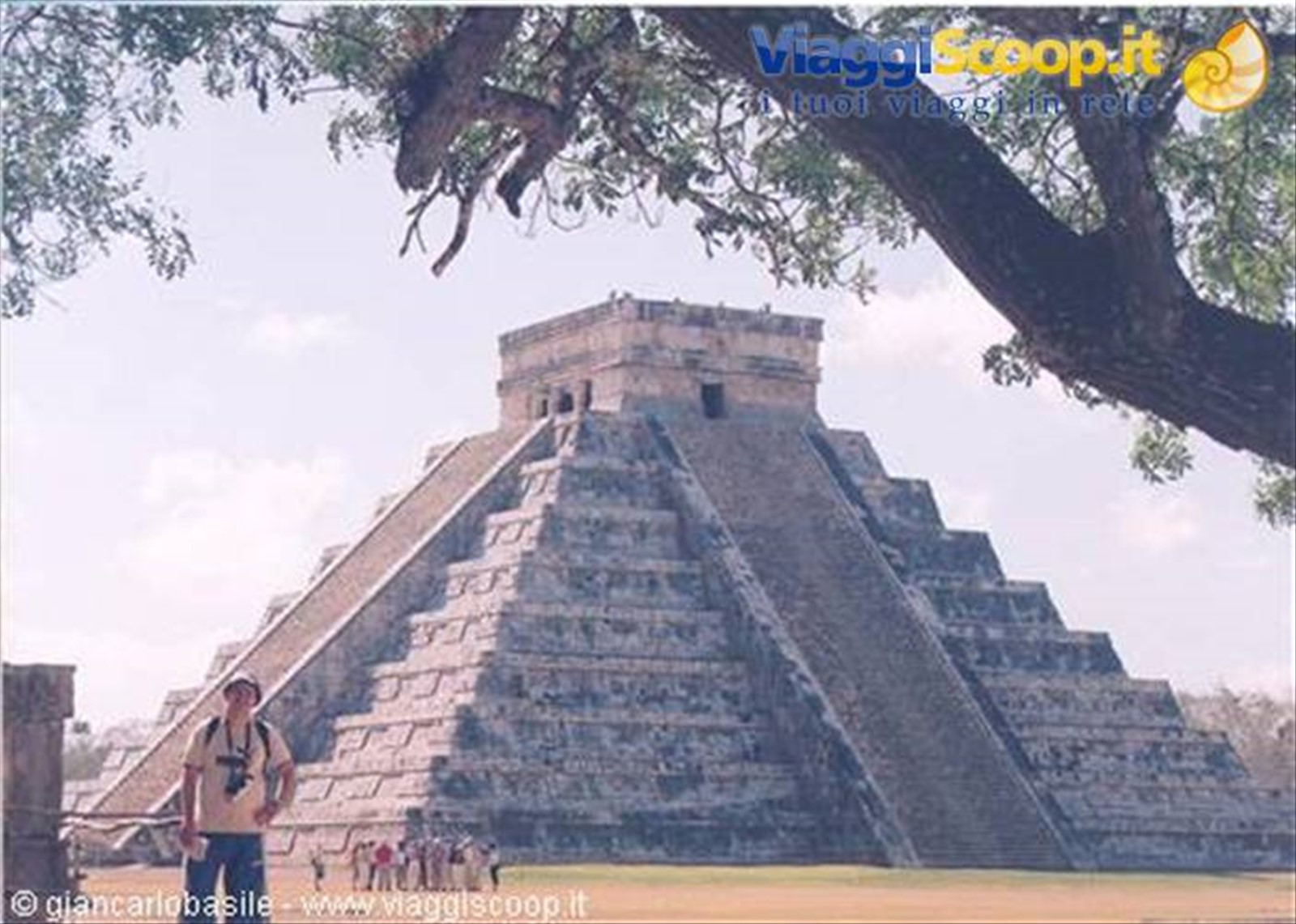 Messico e guacamole