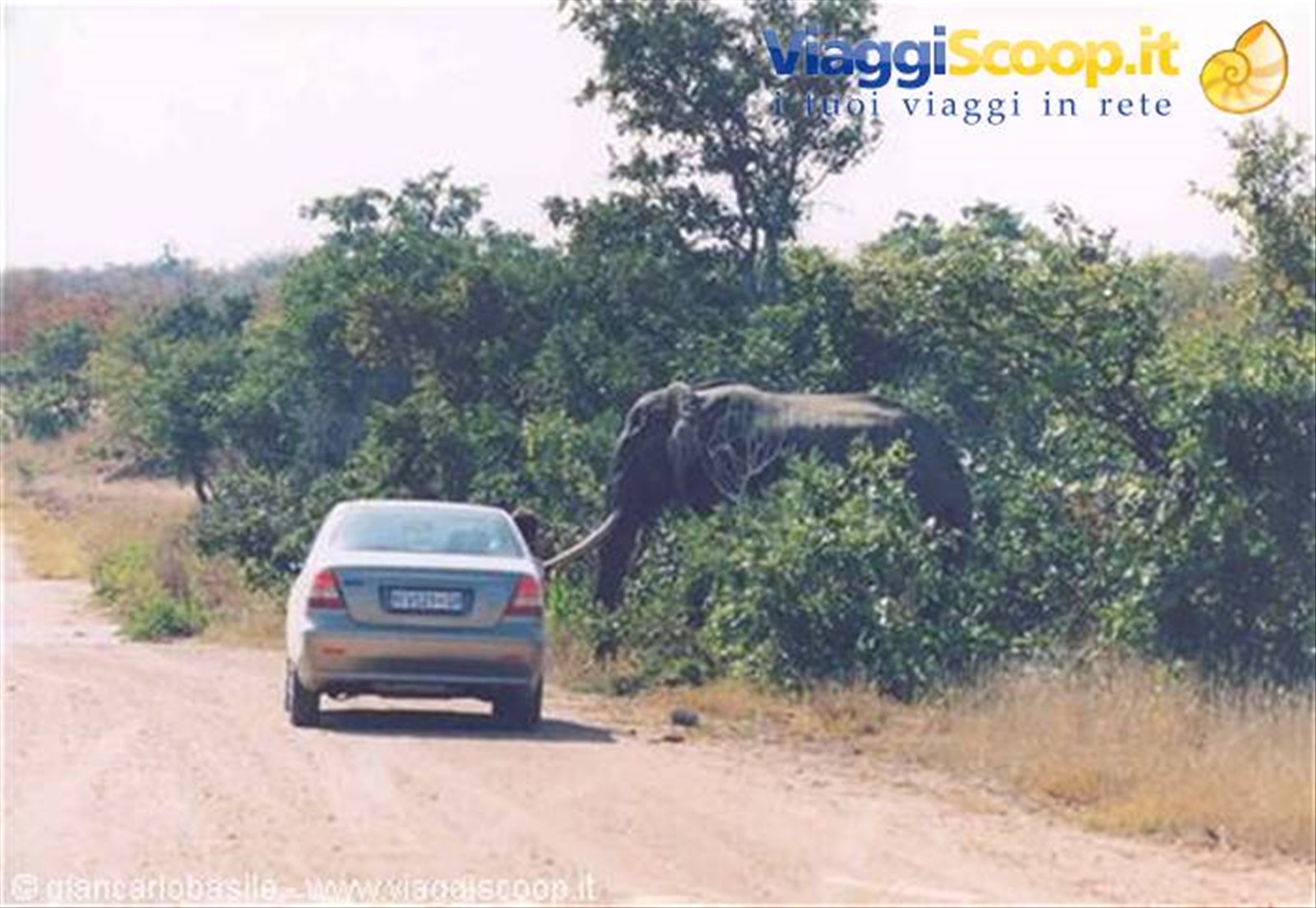 Foto di viaggio in SUD AFRICA