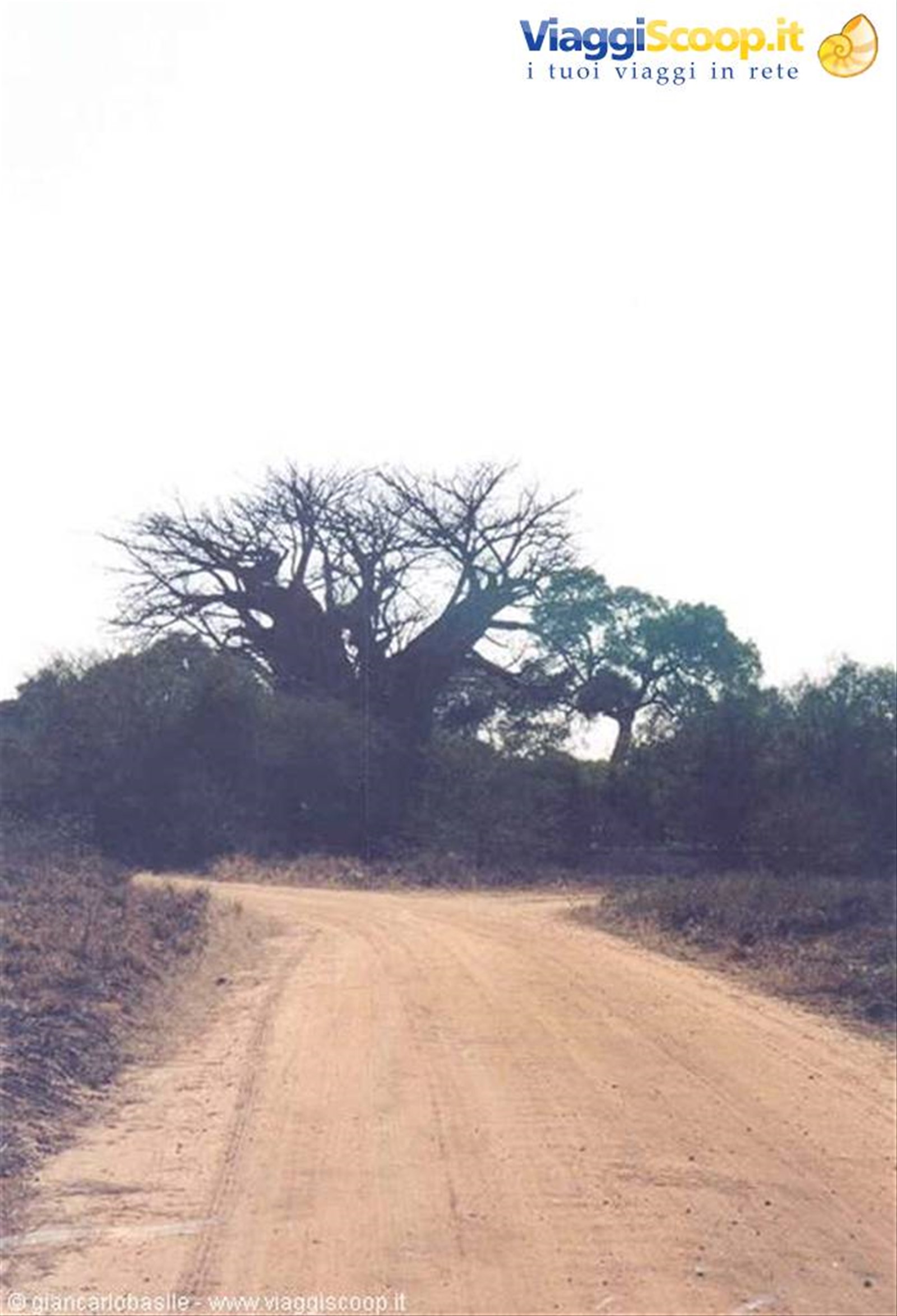 Foto di viaggio in SUD AFRICA