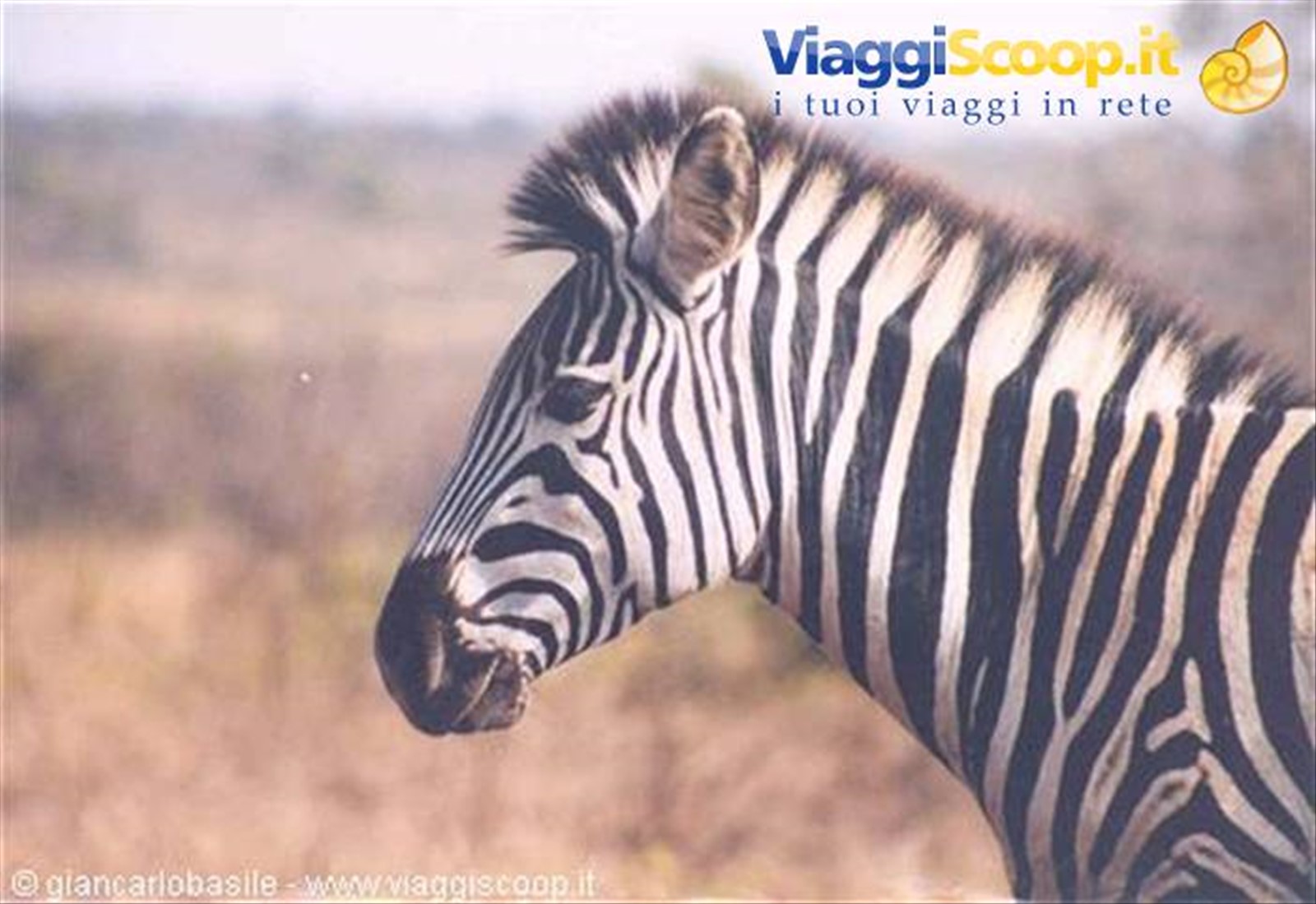 Foto di viaggio in SUD AFRICA