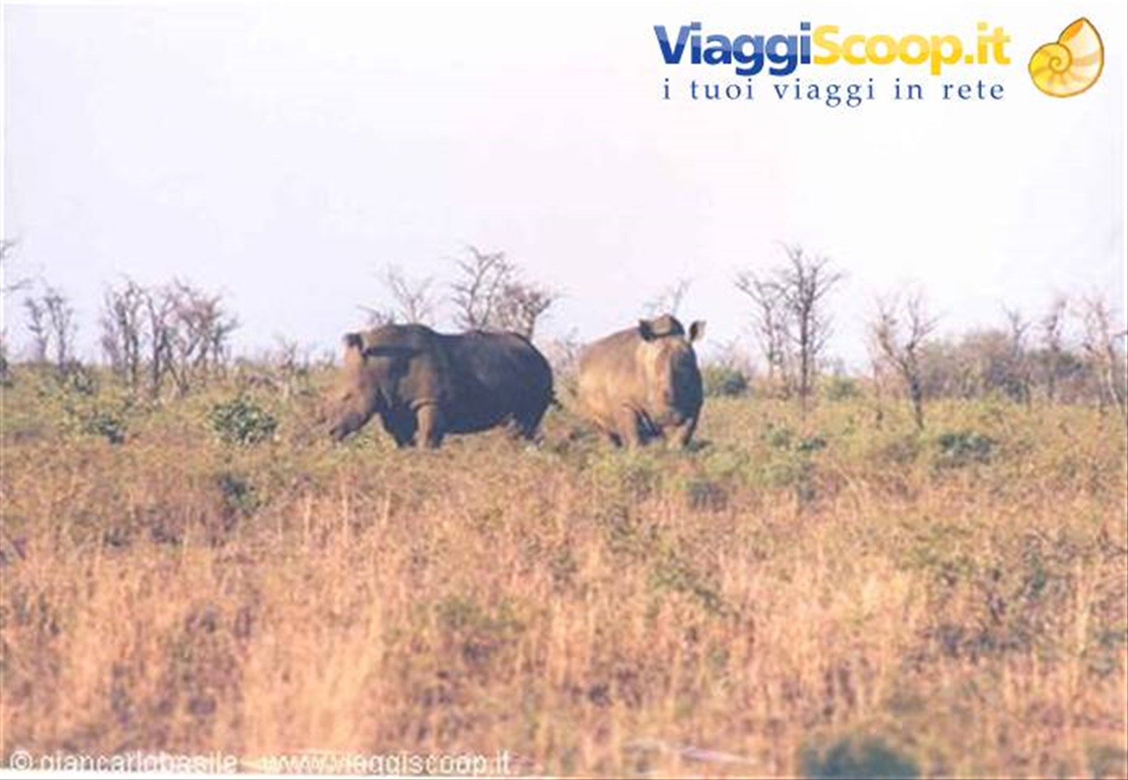 Foto di viaggio in SUD AFRICA