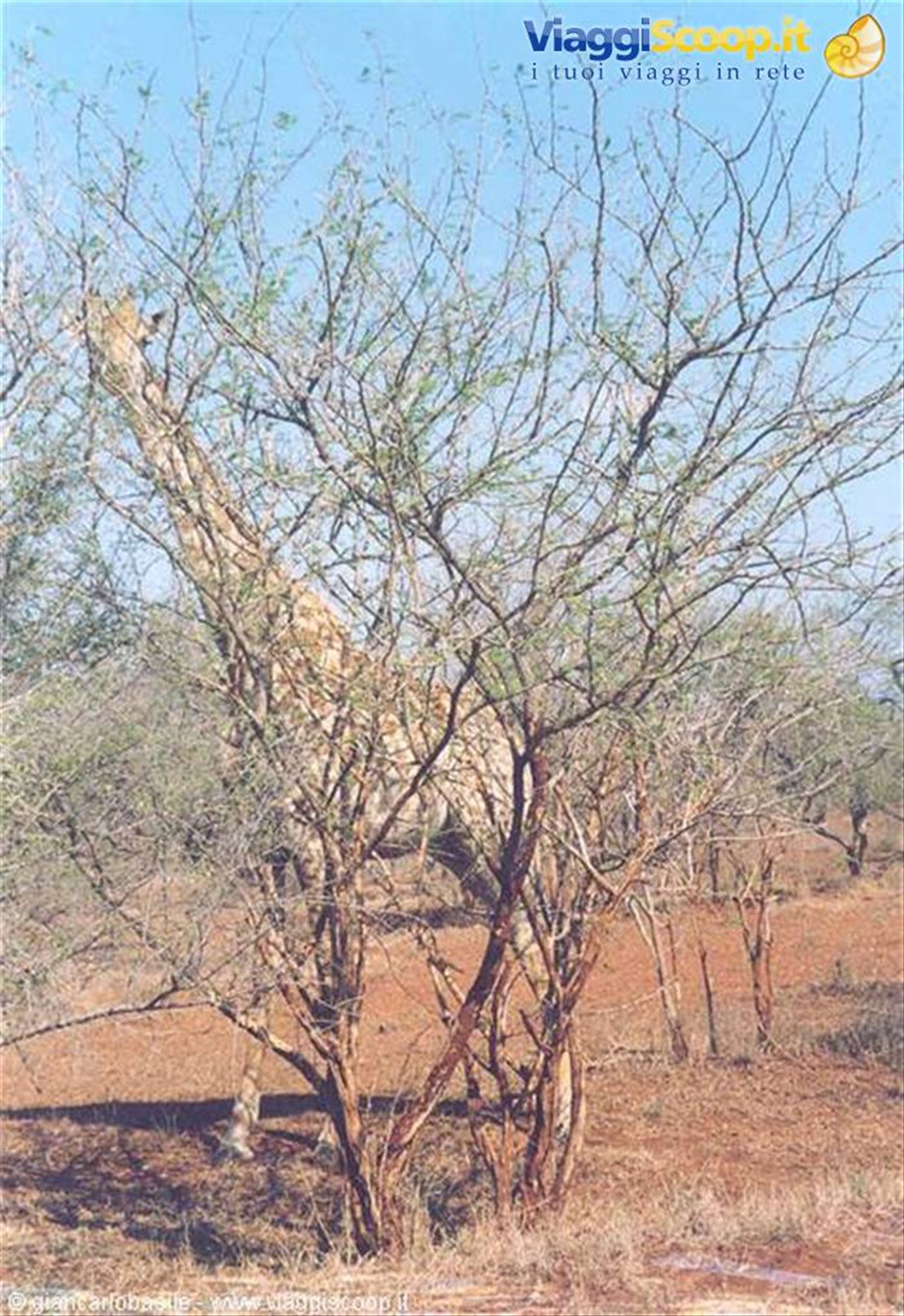 Foto di viaggio in SUD AFRICA
