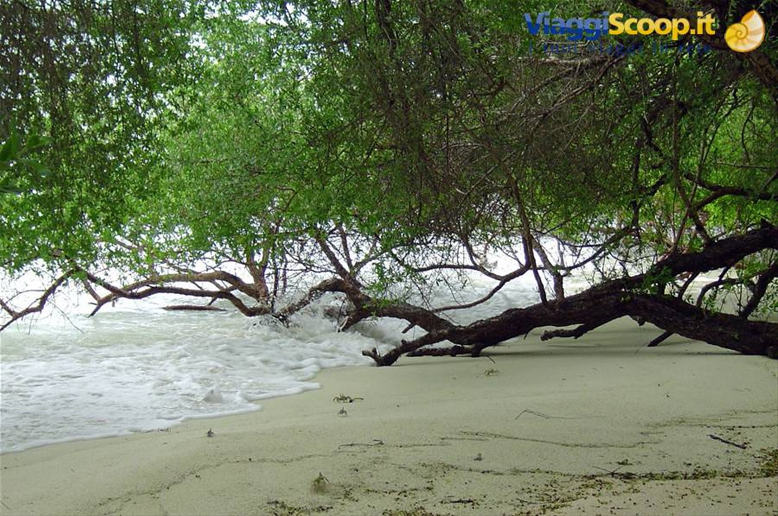 Foto di viaggio in MALDIVE