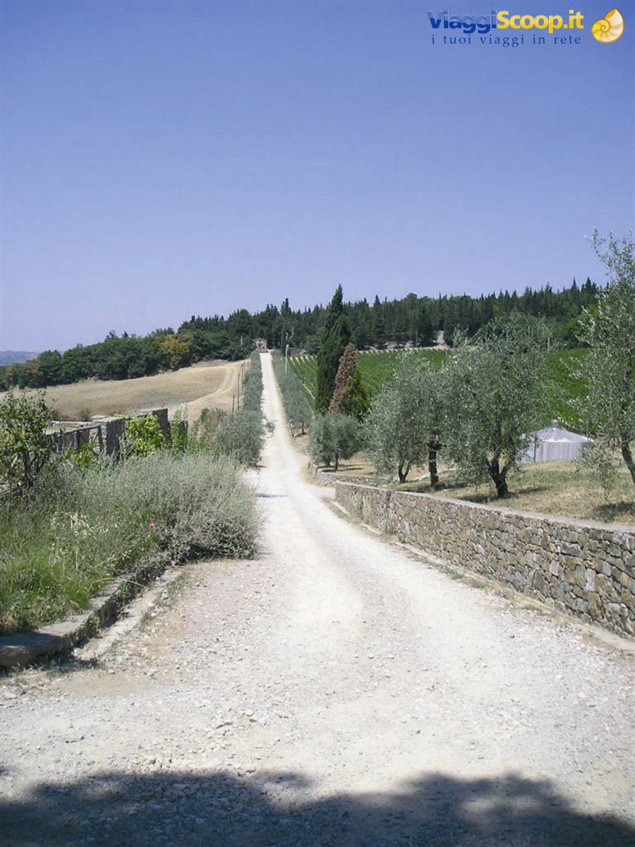 L'accesso a Isole Olena, la mia prima casa toscana