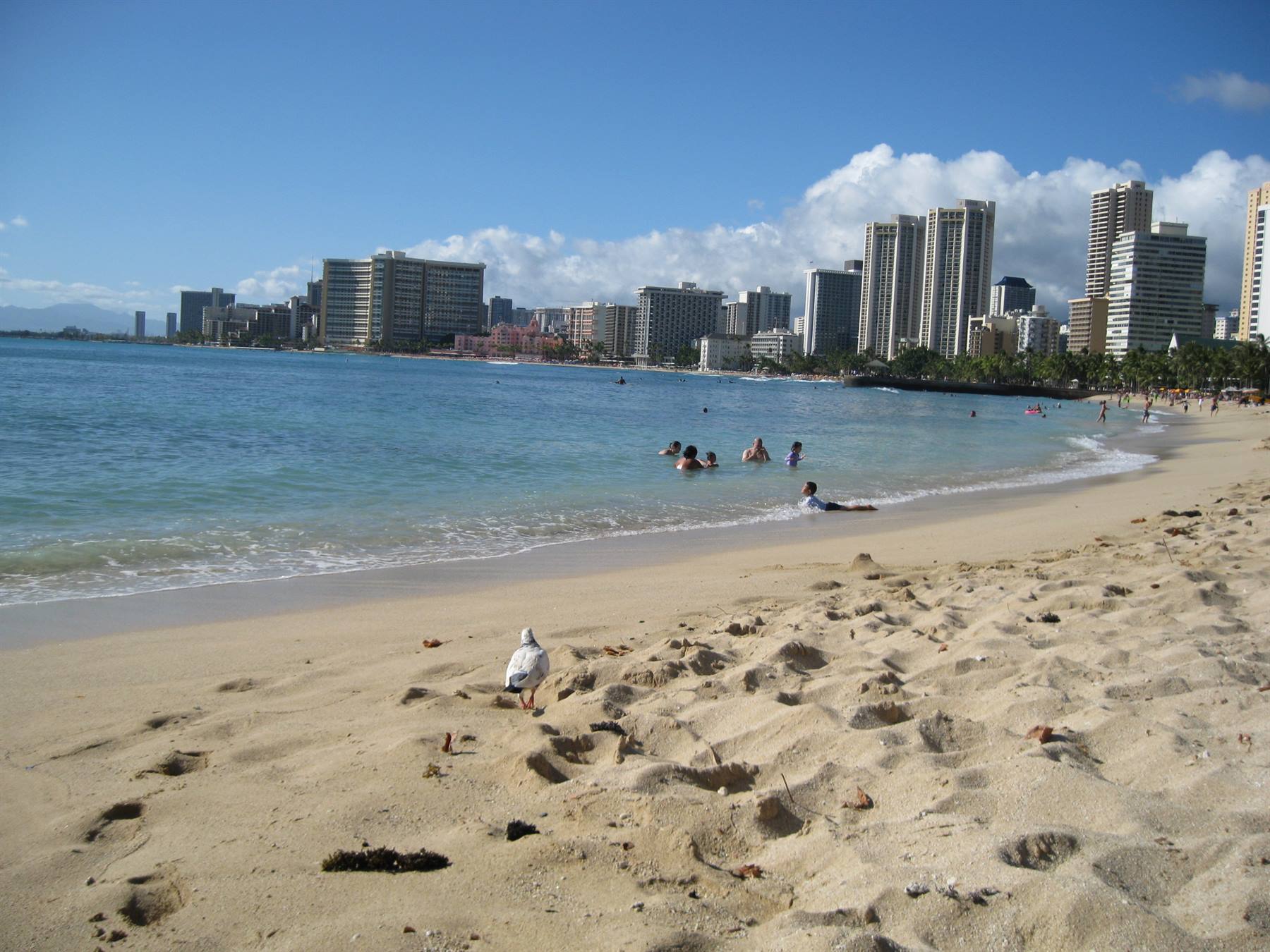 Waikiki Beach