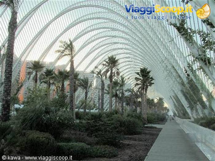 Valencia... la nuova città!