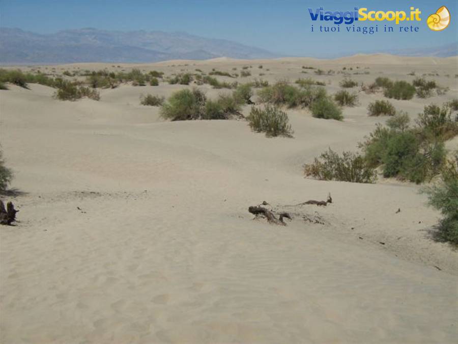 Death Valley - dune di sabbia