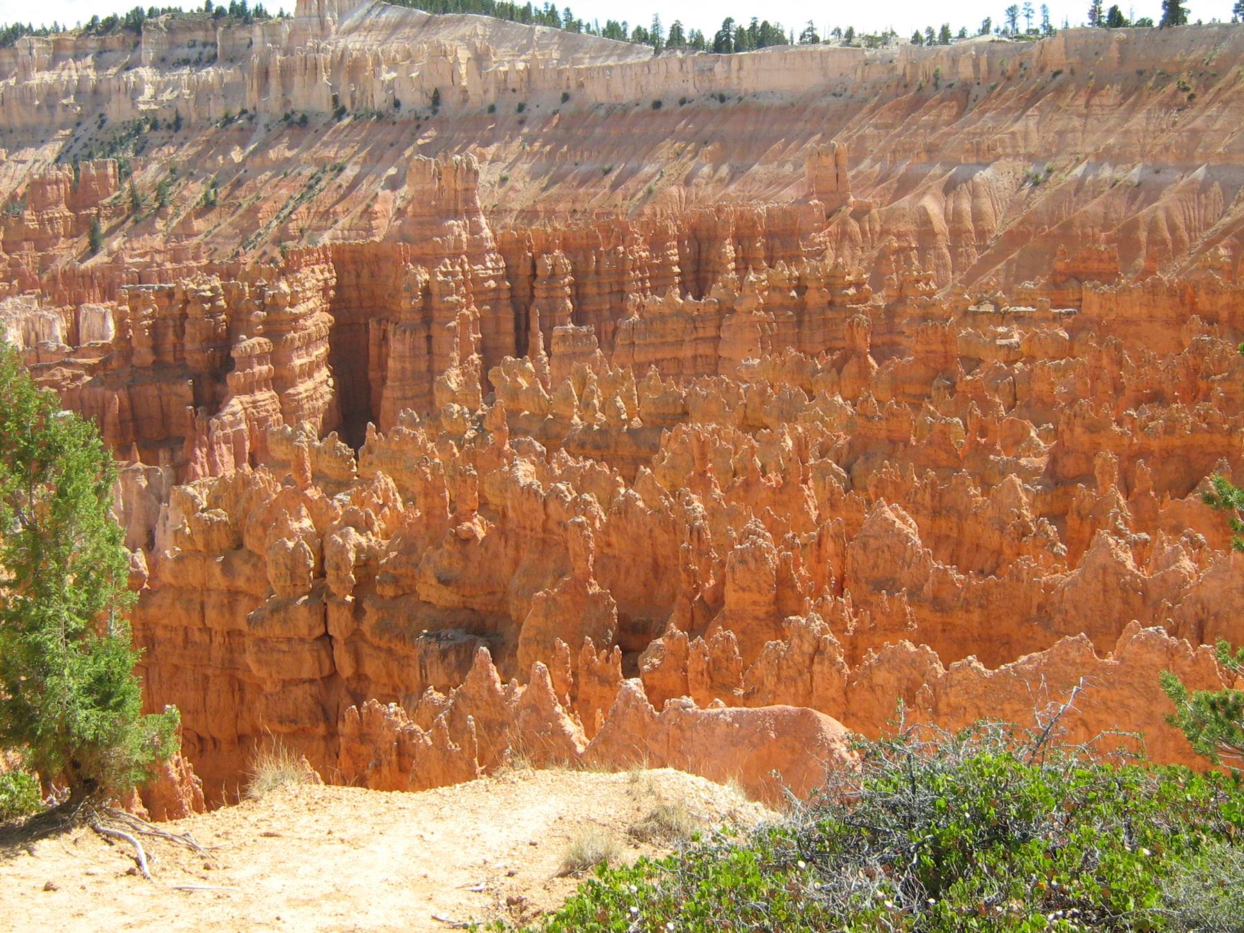 Bryce canyon