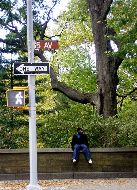 Central park