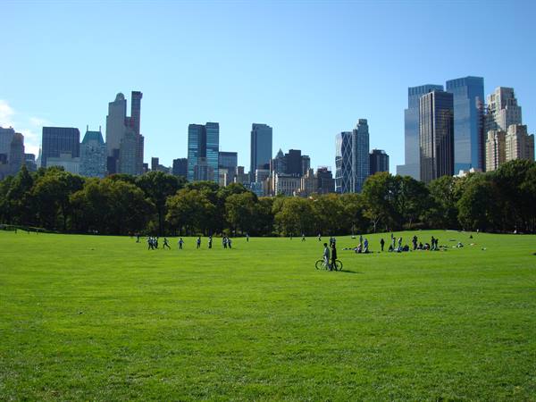 Central park