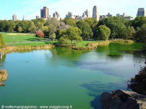 Central park