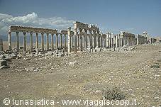 apamea