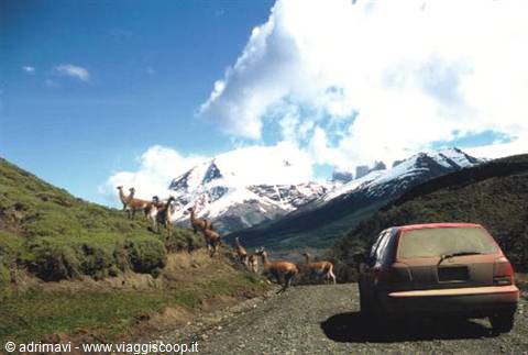 strada - Torri del Paine