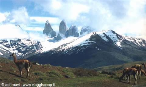 le Torri del Paine