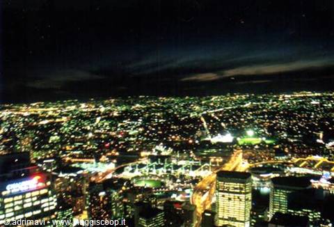 Sydney - panorama dalla Sydney Tower