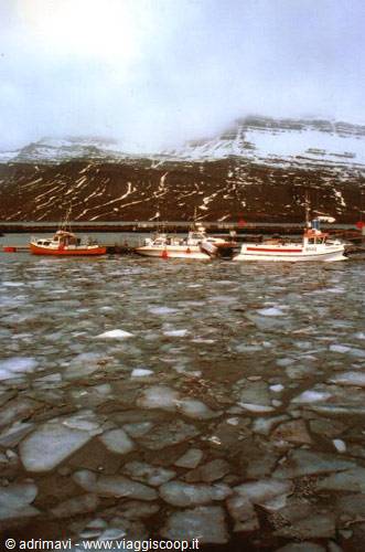 porto ghiacciato - fiordo di Reydarfjordur