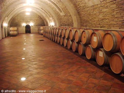 Cantine di Purcari 3