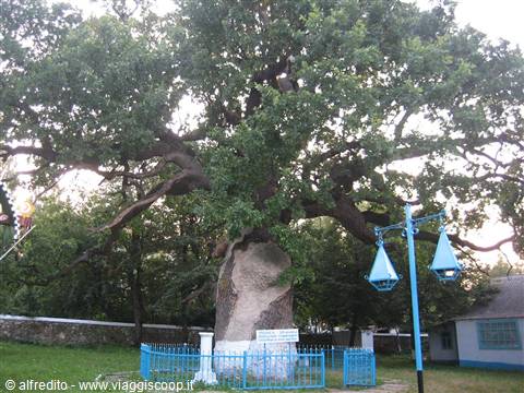 La Quercia di Stefan cel Mare e la Basilica di pietra di Cobîlea
