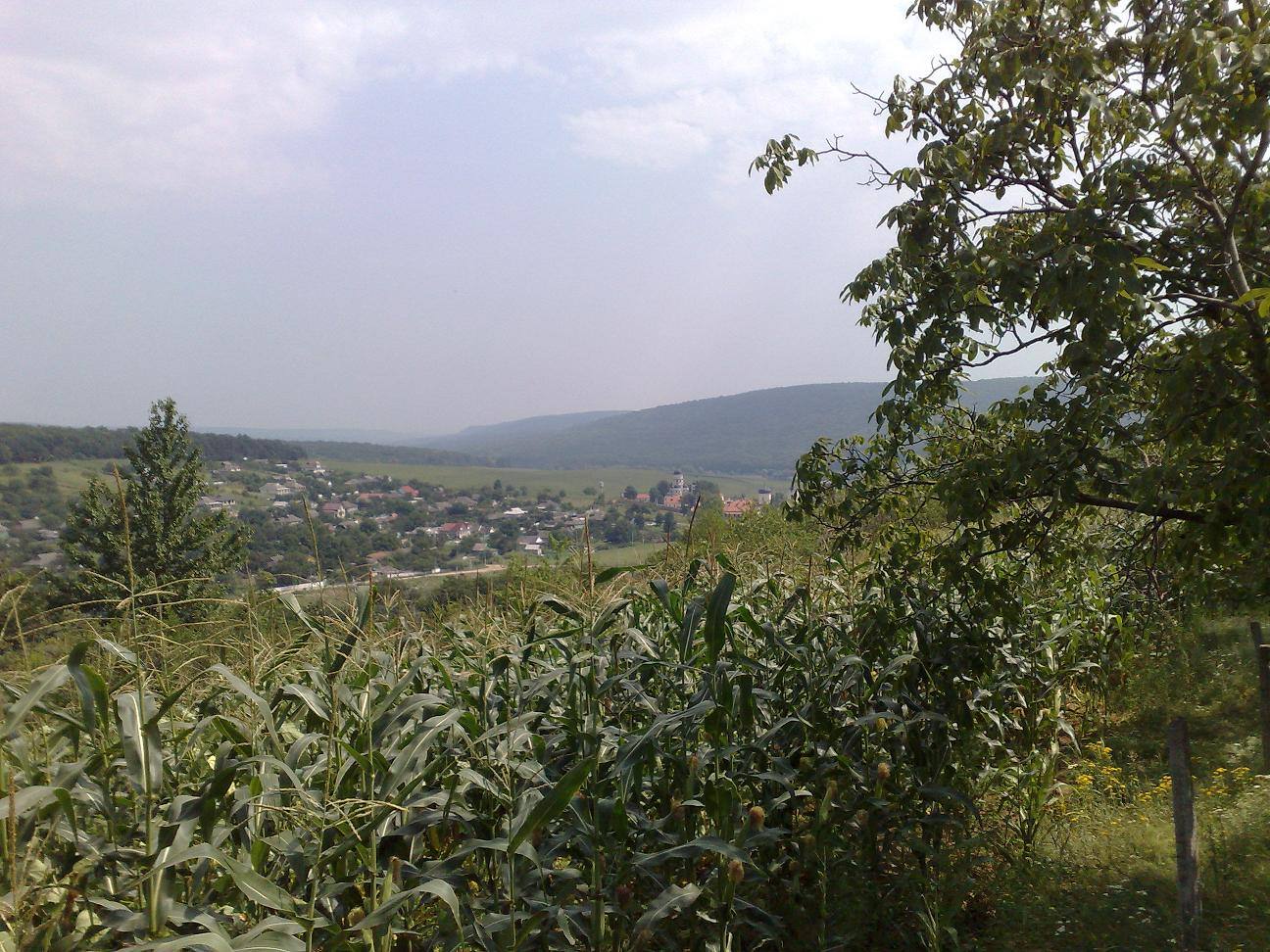 Capriana