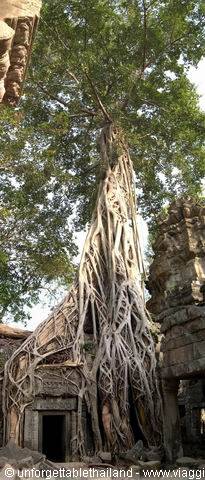 Ta Prohm Wat