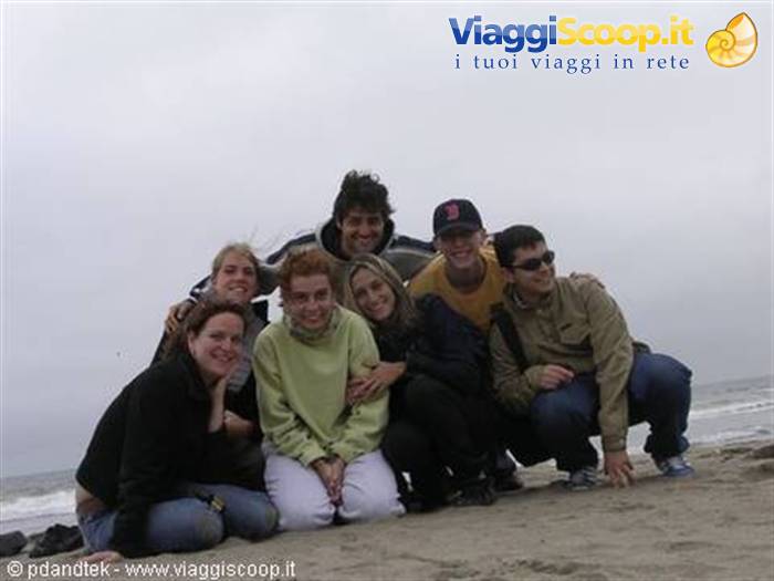 Ocean Beach