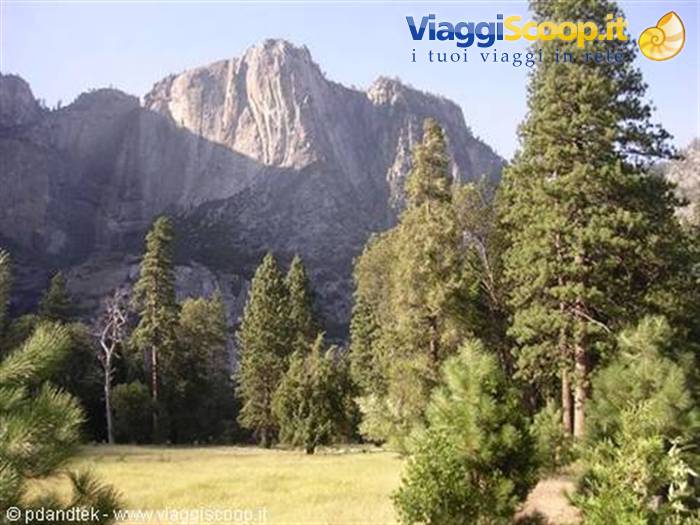Yosemite Park 