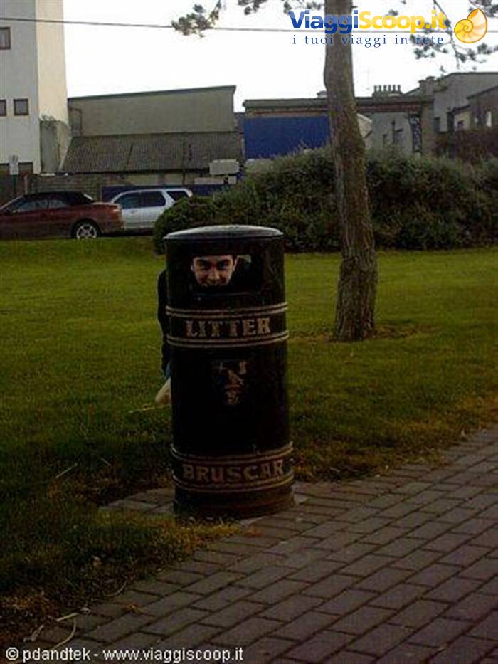 malahide_something_strange_behind_litter