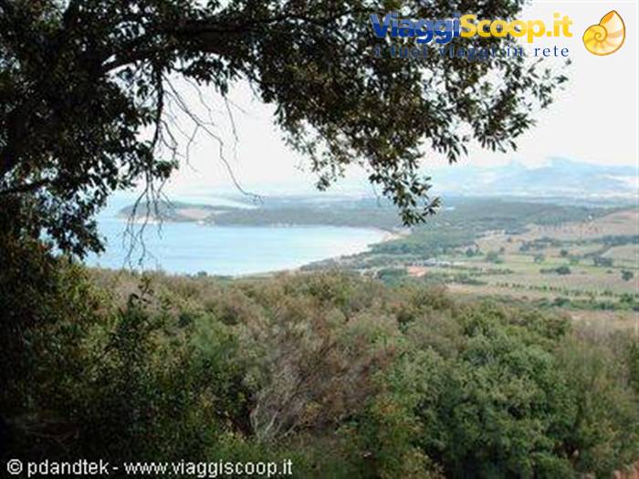 Baratti