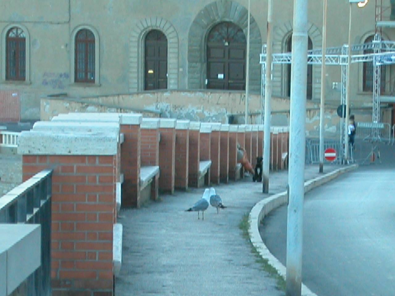 Foto di viaggio in ITALIA