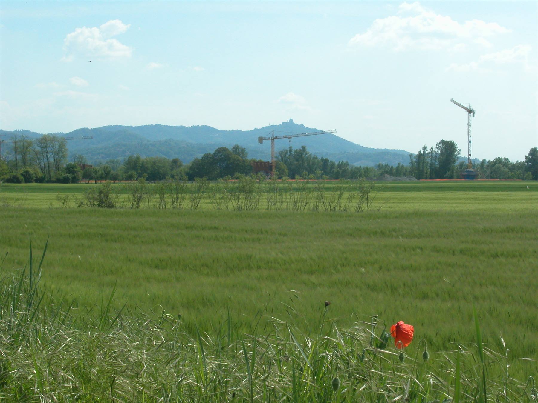 e poi come d'incanto torno a risplendere il sole ela natura costruì nuovi paesaggi