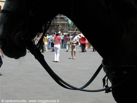 Firenze a cavallo
