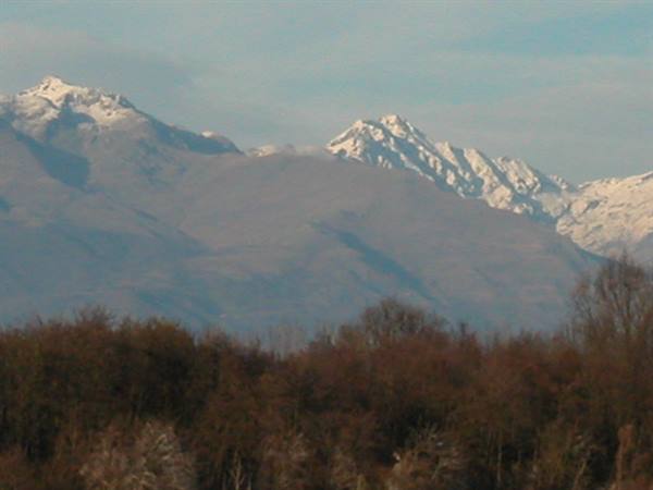 le alpi dal lago di Candia