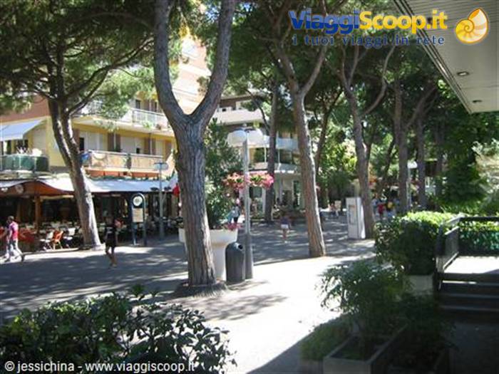 viale ceccarini