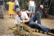 Iguana Farm