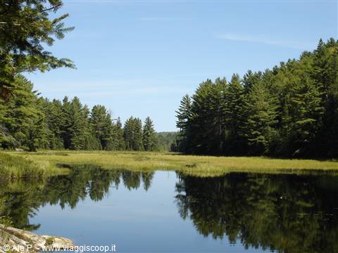 Algonquin Park