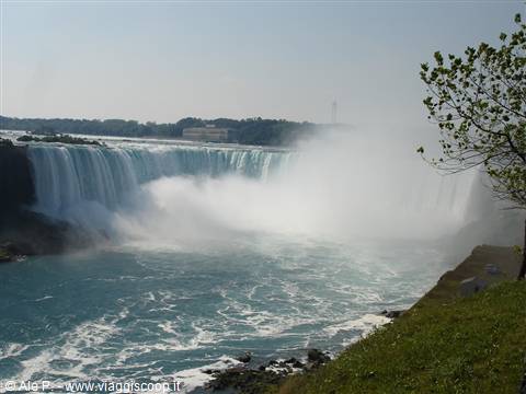 Niagara